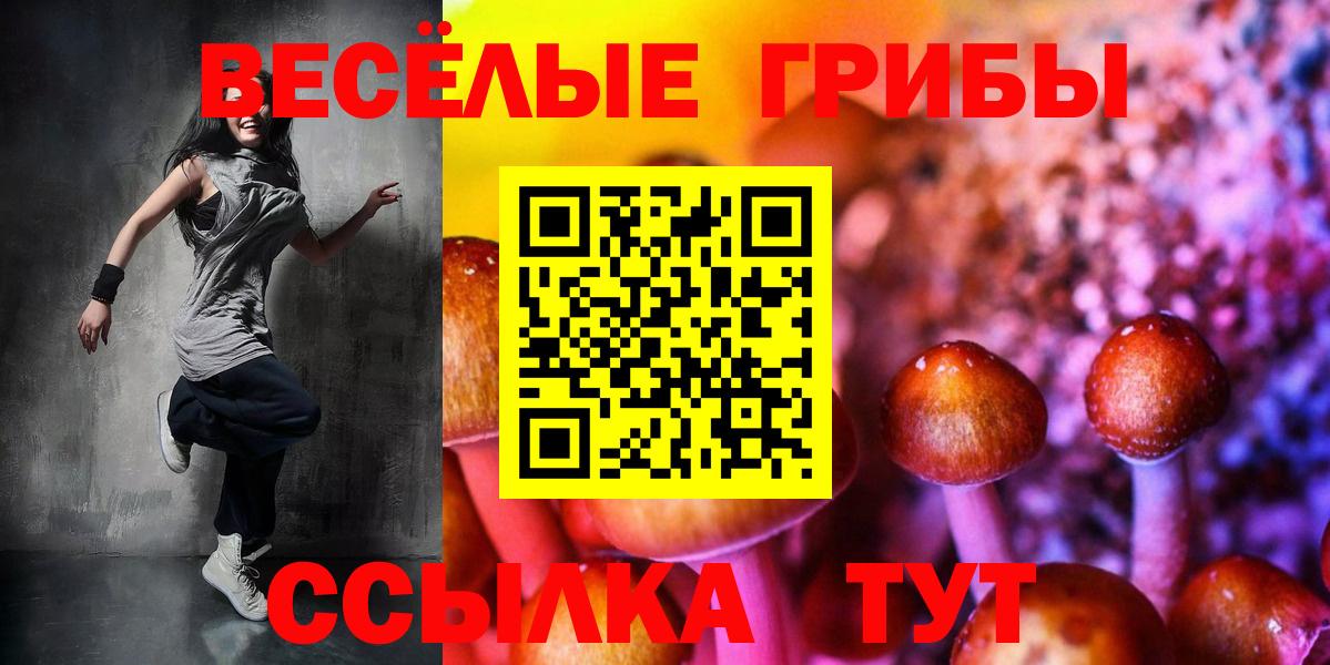 купить наркоту  Вход с VPN  Галлюциногенные грибы Psilocybe  Ижевск  Псилоцибиновые грибы Magic Shrooms 